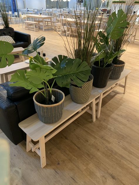 Plant Table Behind Couch, Plants Behind Couch, Table Behind Couch, Behind Couch, Plant Table, Apartment Life, Potted Plants, Apartment Decor, House Plants