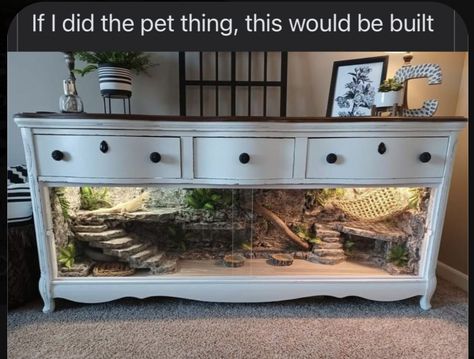 Tartaruga Habitat, Snake Tanks, Diy Bearded Dragon Enclosure, Bearded Dragon Terrarium Ideas, Dragon Terrarium, Pet Enclosures, Bearded Dragon Diy, Bearded Dragon Terrarium, Bearded Dragon Cage