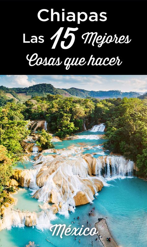 Qué Hacer en Chiapas: 15 Mejores Cosas que ver en 2021 | México Mexico Nature, Mexico Itinerary, Central America Travel, Visit Mexico, Exotic Places, North America Travel, Boat Tours, Best Places To Travel, Mexico Travel