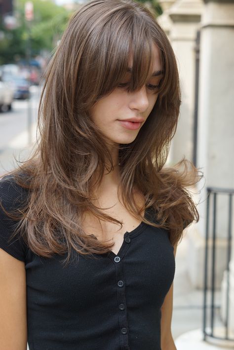 French Layered Hair, Brown Hair Bangs Layers, 70s Haircut Bangs, Long Light Brown Hair Aesthetic, 70s Long Haircut, Layers On Thinner Hair, Medium Hair Cuts Layers, Wispy Long Hair, 60s Layered Hair