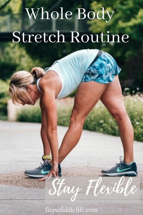 Everyday Flexibility Routine, Stretch Class Routine, Daily Stretching Routine For Beginners, Stiff Body Stretches, 10 Minute Stretch Routine, Bjj Stretches, Streching Excersise Daily, Daily Stretches For Beginners, Full Body Stretching Routine Flexibility