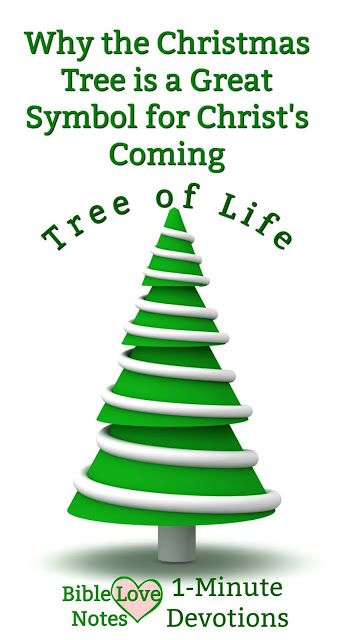 Christmas Tree Bible Lesson, Meaning Of Christmas Tree Christian, Meaning Of Christmas Tree, Christmas Tree Meaning, Christmas Tree Symbolism, Christmas Tree Sunday School Lesson, Legend Of The Christmas Tree, Christmas Tree Story, Jesus Tree