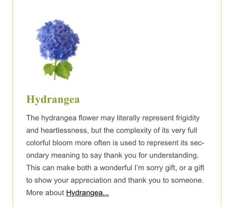 Hydrangea Meaning Flower, Hydrangea Meaning, Flowers Symbolism, Talking Flowers, Flower Symbolism, Im Sorry Gifts, Flower Board, Flower Language, Sorry Gifts