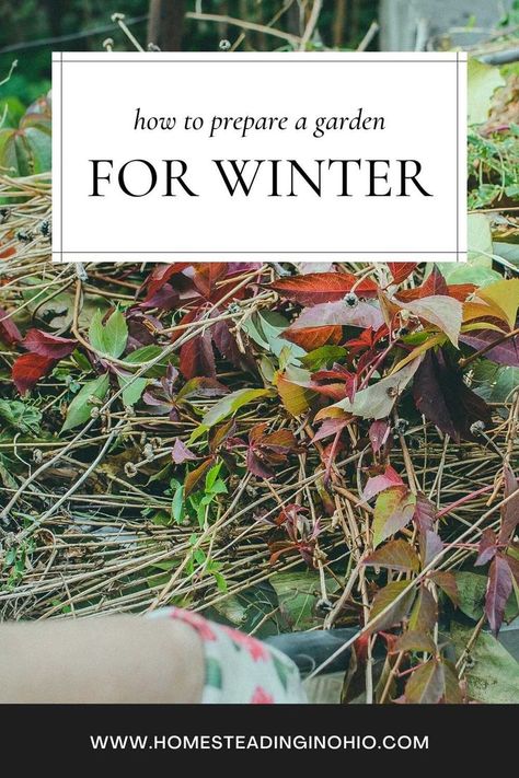 How to prepare a vegetable garden for winter. Do fall garden cleanup to take care of your garden. Now is the time to test the soil and clean your garden so it performs wlel next year. Use this free printable fall garden cleanup checklist to perform the tastes. Fall vegetable garden cleanup helps you get ready for next year to plant food and crops. How To Prep Garden For Winter, Fall Vegetable Garden, Garden Checklist, Vegetable Garden Tips, Checklist Printable, Fall Garden Vegetables, Fall Garden, Vegetable Gardening, Now Is The Time