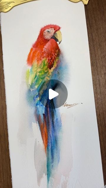 Winnie WATERCOLOR ARTIST on Instagram: "100 Birds Challenge No.4: This time, it's the Parrot! It's one of the most challenging birds I've painted so far. The full video version will be uploaded to my Patreon page. Stay tuned!  The fine-point brush I used for details is available for pre-order on my website. Please check the link in my bio.  #parrots #parrotpainting #parrotsofinstagram #watercolorparrot #watercolorbirds #watercolorbirdspainting #watercolorbird #birdpainting #paintingbird #colorfulbirds #paintingvideo #watercolorartist #watercolorart #painting #watercolortutorial #watercolors #birdlovers #watercolorchallenge #paintingartist #originalpainting #watercolorparrot" Parrot Art Painting, Parrots Painting, Watercolor Parrot Painting, Watercolor Birds Tutorial, Watercolour Challenge, Parrot Painting, Parrots Art, Painting Videos, Watercolour Tutorials