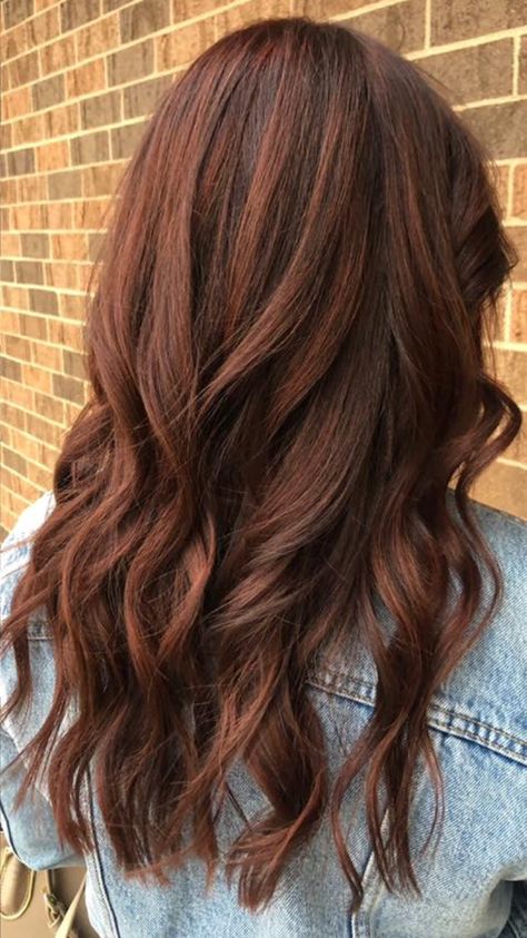 Auburn hair, Fall 2018 hair, medium brown auburn, red hair Brown Auburn Hair, Dark Auburn Hair Color, Red Brown Hair Color, Medium Brown Hair Color, Auburn Red Hair, Dark Auburn Hair, Maroon Hair, Rambut Brunette, 2018 Hair