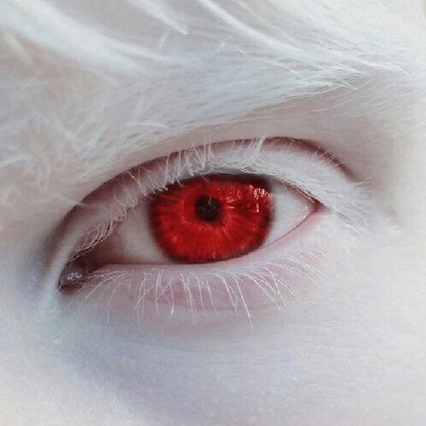 Albino Human Eyes, Albino Eyes Aesthetic, Red Eyes Albino, Red Eye Aesthetic Male, Red Eye Aesthetic, Male Red Eyes, Red Eyes Aesthetic, Albino Aesthetic, Albino Vampire