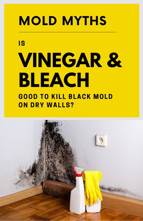 Diy Mold Remover, Kill Black Mold, Clean Black Mold, Remove Black Mold, Mold And Mildew Remover, Mold Spray, Black Mold, Mold In Bathroom, Mildew Remover