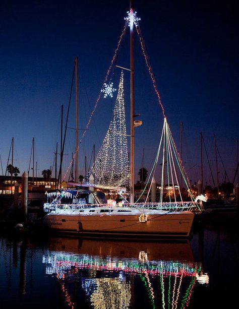 Christmas lights Christmas Boat Parade, December Pictures, Chris Tucker, Boat Parade, Christmas Parade, Coastal Christmas, My Dream Came True, Channel Islands, Bay Bridge