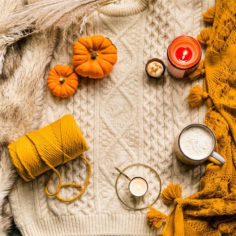 That's Her Business (@thatsherbusiness) | Unsplash Photo Community Flat Lay Photography Clothing, Autumn Flatlay, Create Birthday Card, Floral Textile, Crochet Aesthetic, Free High Resolution Photos, Background Diy, Forest Photos, Upcycle Decor