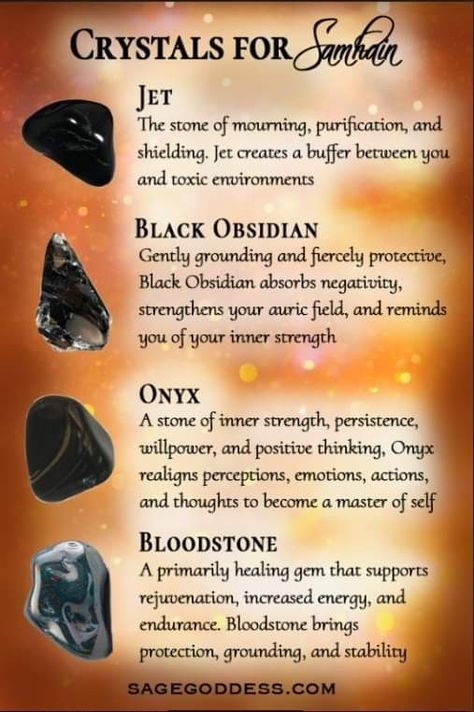 Bloodstone Crystal Meaning, Bloodstone Crystal, Crystal Seashells, Kitchen Witchery, Crystals Healing Properties, Black Obsidian, Chakra Crystals, Inner Strength, Healing Properties