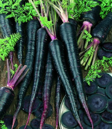 Black Carrot, Goth Garden, Purple Carrot, Gothic Garden, Garden Vegetable, Daucus Carota, Carrot Seeds, Heirloom Vegetables, Black Garden