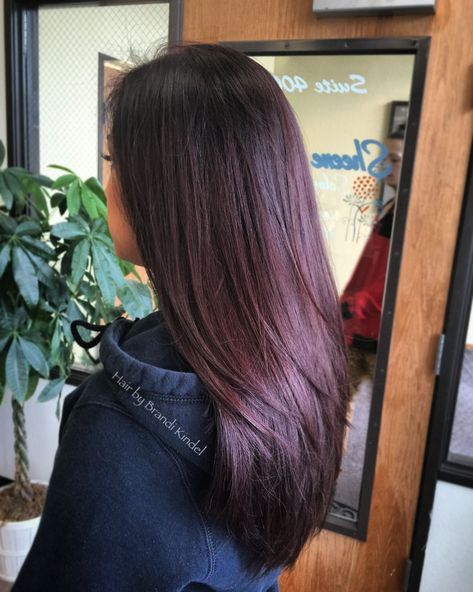 How To Achieve Black Cherry Hair Hair Color Ombre Ideas, Purple Dark Hair, Dark Cherry Hair Color, Plum Hair Dye, Plum Brown Hair, Plum Burgundy Hair, Balayage Honey, Black Cherry Hair Color, Black Cherry Hair