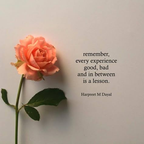 There is a lesson in everything 🌺 Rose Quotes, Never Settle, Soul Quotes, Inner Circle, Daily Inspiration Quotes, Self Quotes, Reminder Quotes, English Quotes, Healing Quotes