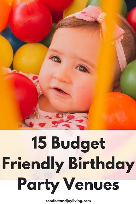 15 Budget-Friendly Birthday Party Venues Parenting Blogs, Birthday Venues, Birthday Party Venues, Toddler Parties, Mommy Tips, Birthday Activities, Birthday Party Planning, Toddler Birthday, Mom Blog