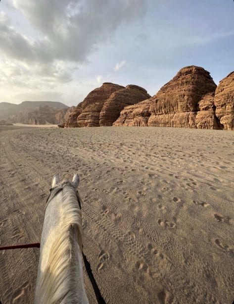 Al Ula Saudi Arabia, White Horse Photography, Desert Horse, Wadi Rum Jordan, Horse Riding Aesthetic, Wild Horses Photography, Kylie Francis, Horse Aesthetic, Wadi Rum