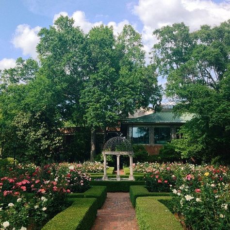 The Rose Garden at Furman University in Greenville, SC ... we can practically smell it from here! // yeahTHATgreenville College Vibes, Spartanburg South Carolina, Furman University, Sweet Carolina, Epic Photography, South Carolina Homes, Greenville South Carolina, Dream School, Travel Checklist