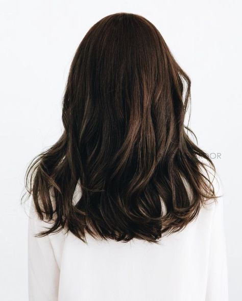 Dark Chocolate Hair Color, Dark Chocolate Hair, Chestnut Hair, Hair Color Chocolate, Ombre Highlights, Chocolate Hair, Hair Ombre, Balayage Brunette, Hair Color Dark