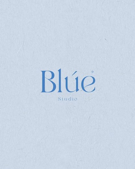 Indigo Branding, Blue Brand Identity, Brand Identity Colors, Visual Metaphor, Brand Color Palette, The Calm, Studio S, Brand Colors, Beautiful Moments