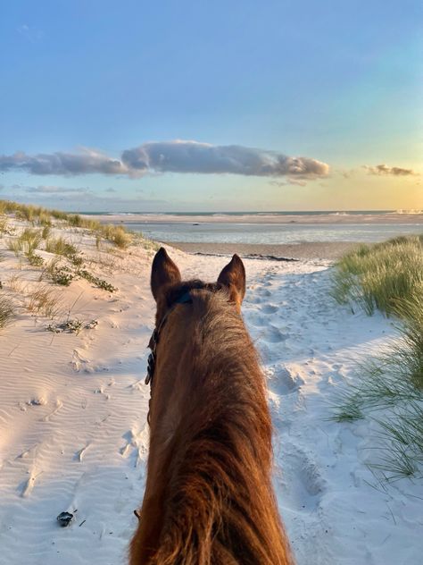 View from a horse’s back riding onto the beach in Cape Town Horse On Beach Aesthetic, Horses At The Beach, Horse Beach Aesthetic, Horse Riding On Beach, Wallpaper Cape, Coastal Equestrian, Horse Wallpaper Aesthetic, Horse Riding Beach, Horse At The Beach