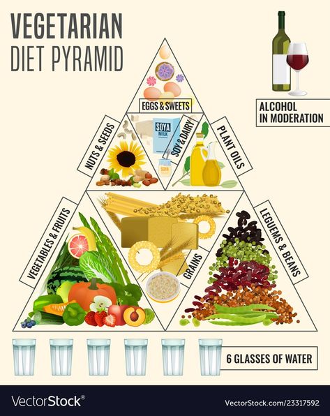 Vegetarian Food Pyramid, Vegan Diet Benefits, Healthy Dieting, Plant Diet, Background Medical, Hamster Treats, Hamster Eating, Lime Bars, Food Pyramid