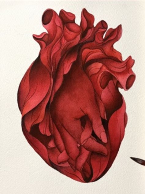 Anatomical Heart Aesthetic, Red Heart Drawing, Heart Digital Art, Human Heart Painting, Anatomical Heart Painting, Human Heart Art Aesthetic, Human Heart Painting Aesthetic, Human Heart Canvas Painting, Heart Organ Painting