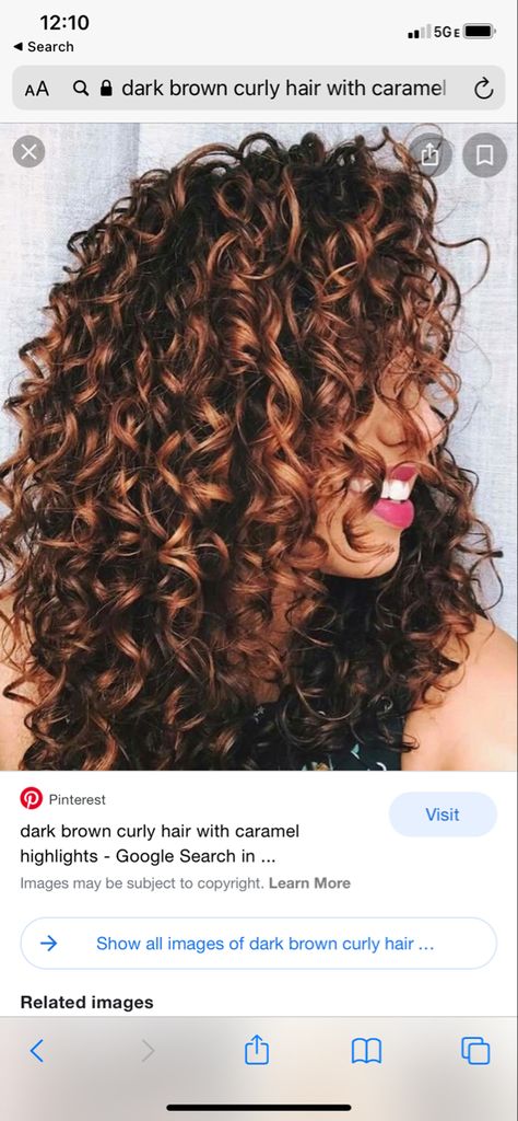 Copper Hair For Curly Hair, Curly Hilights Natural Hair, Red Lowlights In Brown Hair Curly, Curly Auburn Highlights, Naturally Curly Hair Fall Color Ideas, Red Highlights In Light Brown Hair Curly, Short Curly Hair Brown With Highlights, Copper Red Highlights Curly Hair, Short Curly Fall Hair Color