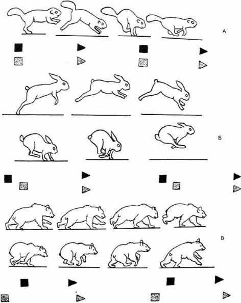 Animated Rabbit, Animation Walk Cycle, Walking Animation, Animation Storyboard, Learning To Draw, Frame By Frame Animation, Animation Art Sketches, Animation Sketches, Animated Animals