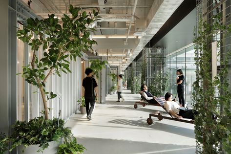 Gallery of Biophilic Offices: Landscape and the Working Environment - 28 Innovation Center, Schematic Design, Green Office, Innovation Centre, Green Design, Yokohama, Office Building, Interior Design Trends, Design Development