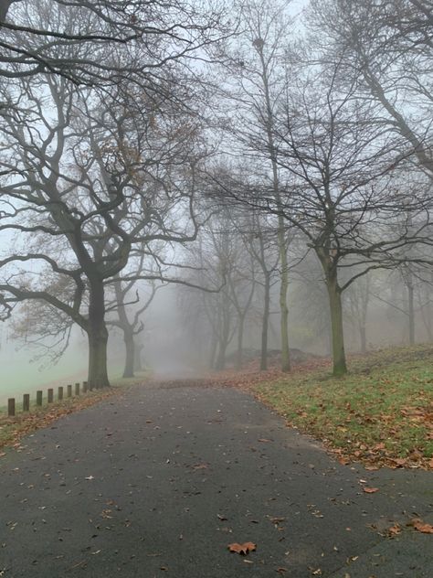 Foggy day #walk #christmas #foggy #dark Foggy Neighborhood Aesthetic, Folklore Fall, Foggy Meadow, Fall Landscapes, Foggy Day, Dark Nature Aesthetic, Misty Forest, Foggy Morning, Meteorology