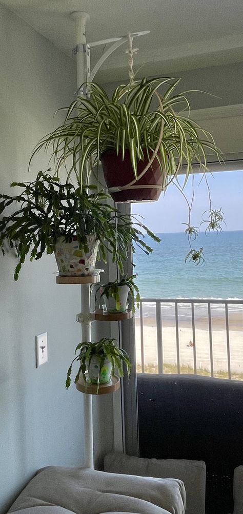 Can't take credit - followed directions from another Pin (search tension rod plant stand). Very easy. Covered up the conduit hanger clips with matching color electric tape and then macrame cord. Used a shelf bracket for my hanging plant. Pole Plant Stand, Tension Rod Shelf, Mobile Home Farmhouse, Diy Plant Hanger Easy, Plant Hanger Bracket, Home Farmhouse Decor, I Wet My Plants, Room Plants, The Conduit