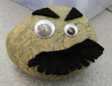 We take care of pet rocks. | Flickr - Photo Sharing! Pet Rock House, Pet Rock Ideas, Library Resources, Pet Rock, Summer Programs, Stone Ideas, Google Eyes, Teen Programs, Random Crafts