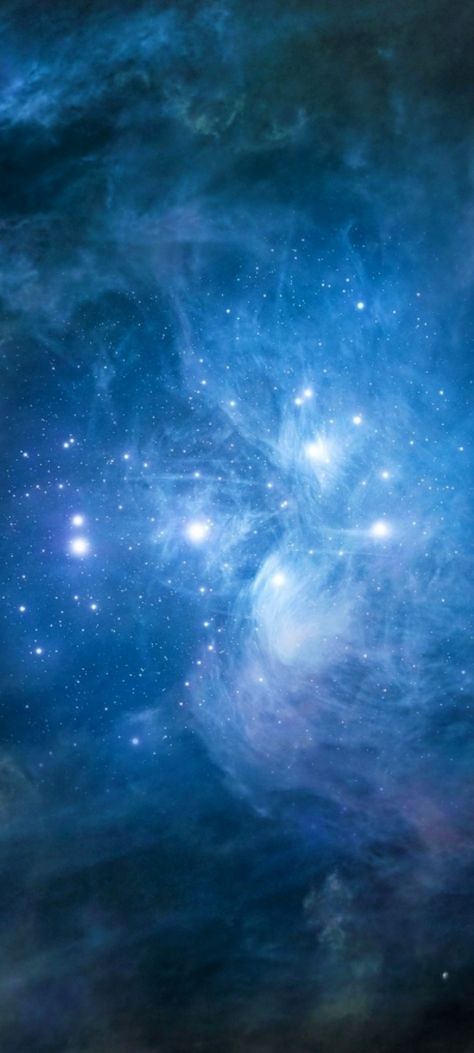 Pleiades Art, Pleiades Star Cluster, Pleiadian Starseed, Star Seed, The Pleiades, Star Cluster, Ancient Knowledge, Empty Spaces, Astronomer