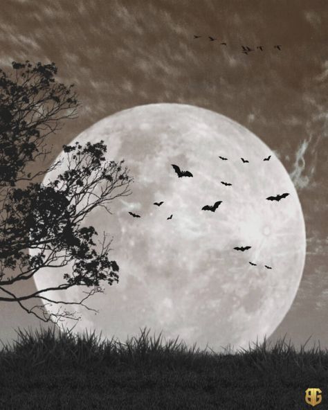 Download Top 5 Scary Dark Night Moon Background For Editing Moon Background For Editing, Night Moon Background, Scary Dark, Background For Editing, Moon Background, Blur Image Background, Photo Elements, Photoshop Backgrounds Backdrops, Green Screen Background Images