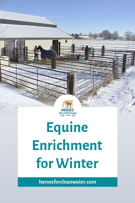 Man stands with two horses in outdoor runs covered in snow Horse Pasture Enrichment, Horse Enrichment Ideas, Goat Paddock, Horse Enrichment, Toys For Horses, Dream Barn Stables, Animal Enrichment, Horse Paddock, Horse Barn Ideas Stables