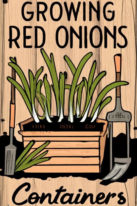 🌿 Discover the Art of Container Gardening for Fresh Onions 🏡 Growing Red Onions, Onions In Containers, Growing Onions From Seed, Grow Onions, Growing Onions, Seed Starter Kit, Onion Bulbs, Planting Onions, Organic Compost