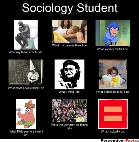 Sociology Student... - What people think I do, what I really do - Perception Vs Fact Sociology Student, How To Study For Sociology, Sociology Quotes, Sociology Degree, Sociology Theories, Sociology Theory, Sociology Major, Teaching Sociology, Sociological Imagination