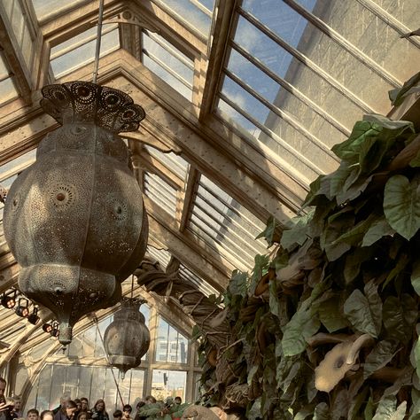 Harry Potter aesthetic Magizoologist Aesthetic, Wizarding Aesthetic, Harry Potter Herbology Aesthetic, Harry Potter Herbology Wallpaper, Herbology Aesthetic, Ilvermorny Aesthetic, Hogwarts Herbology Aesthetic, Hufflepuff Core, Herbology Harry Potter