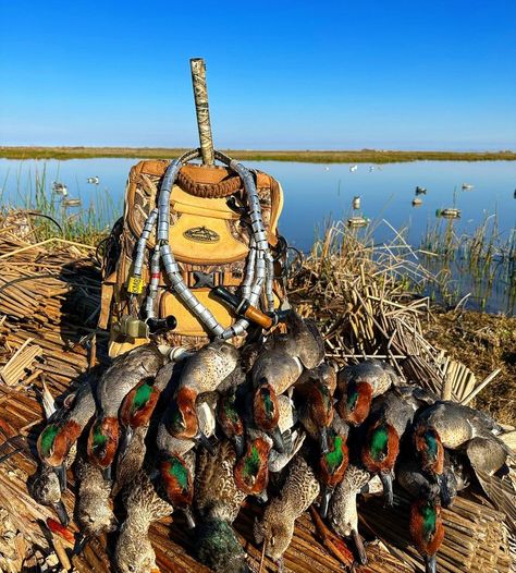 Duck Hunting Pictures, Duck Hunting Photography, Tiger Hunting, Hunting Aesthetic, Hunting Couple, Hunting Birds, Dogs Hunting, Hunting Animals, Ranch Wife