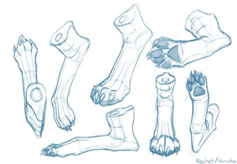 Dog feet reference Paw Shoes Drawing, Paw Feet Drawing, Dog Paw Reference, Canine Paws Reference, Wolf Legs Reference, Wolf Paw Drawing Reference, Dog Leg Reference, Dog Feet Drawing, Wolf Feet Drawing