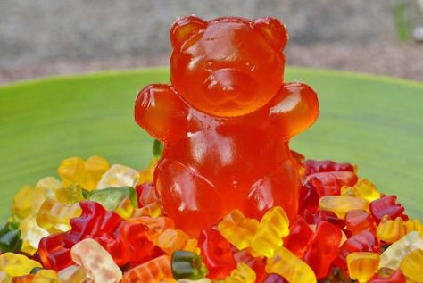 How To Make A Giant Gummy Bear Giant Gummy Bear, Gummy Bear Recipe, Keto Acv Gummies, Acv Gummies, Keto Gummies, Gelatin Recipes, Sixth Birthday, Dental Tips, Cake Decoration Ideas