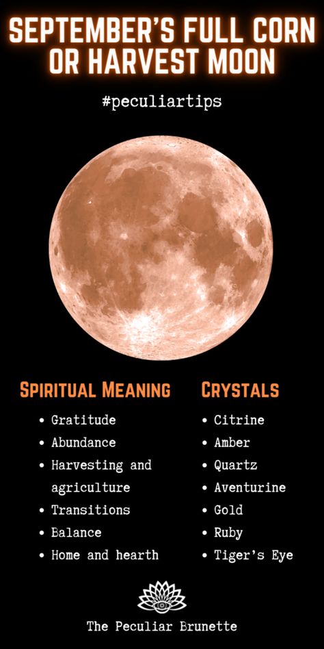 Harvest Moon Meaning, Harvest Moon Ritual, September Full Moon, September Moon, Harvest Full Moon, Full Moon Meaning, Full Harvest Moon, Full Moon Names, Moon Spiritual