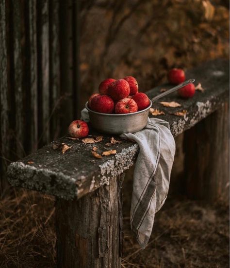 Dark Food Photography, Dessert Photography, Apple Season, Photographers Gallery, Outdoor Eating, Fig Jam, Forest Pictures, Beautiful Fruits, Cottage Core Aesthetic