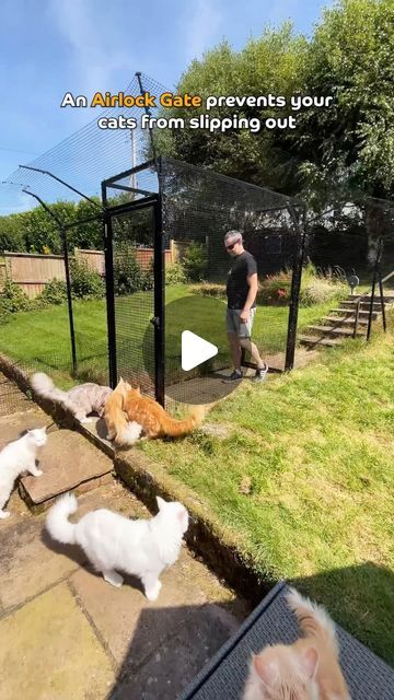 ProtectaPet on Instagram: "Create an Airlock Gate with your ProtectaPet Enclosure to prevent cats from sneaking out 😺 #catenclosure #cats" Cat Rooms, Outside Cat House, Multiple Cats, 50k Views, Cotton Club, Cat Enclosure, Cat Room, Cat Gif, Cat House