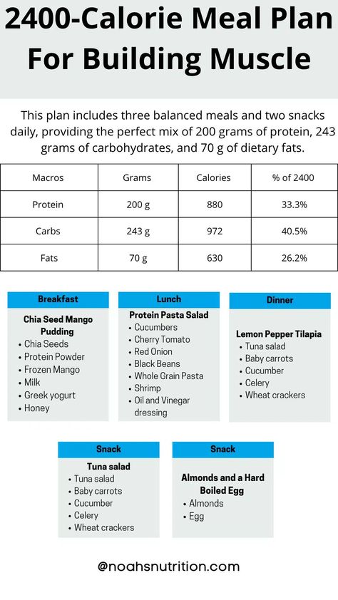 2400 Calorie Meal Plan For Women, 2600 Calorie Meal Plan, Muscle Building Meal Plan For Men, 2400 Calorie Meal Plan, 2500 Calorie Meal Plan For Women, Glute Building Meal Plan, Mens Bulking Meal Plan, 4000 Calorie Meal Plan For Men, 2000 Calorie Meal Plan Men