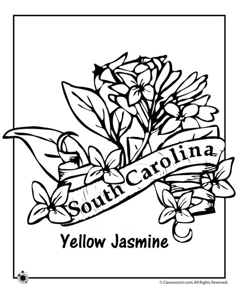 South Carolina State Flower Coloring Page | Woo! Jr. Kids Activities South Carolina State Flower, Tribe Tattoo, Yellow Jasmine, Fountain Art, Laser Products, South Carolina State Flag, South Carolina Art, Flower Coloring Sheets, State Flowers