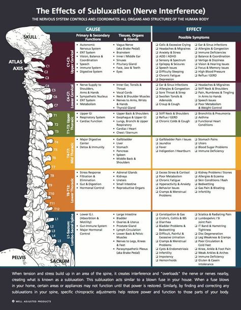 Effects of subluxation. Reflective Writing, Basic Anatomy And Physiology, Chiropractic Clinic, Trigger Point Therapy, Lower Back Pain Exercises, Spine Health, Sciatic Nerve Pain, Vagus Nerve, Medical Anatomy