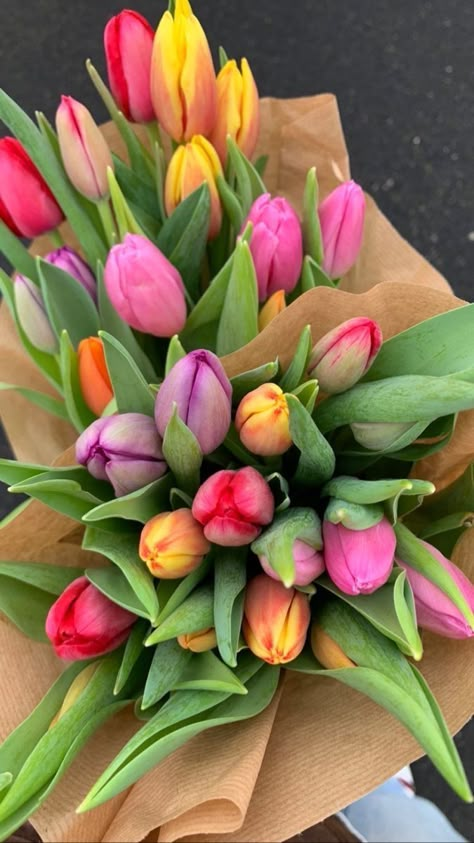 Boquette Flowers, Nothing But Flowers, Flower Therapy, Beautiful Bouquet Of Flowers, Spring Aesthetic, Spring Vibes, Tulips Flowers, Beautiful Bouquet, Love Flowers