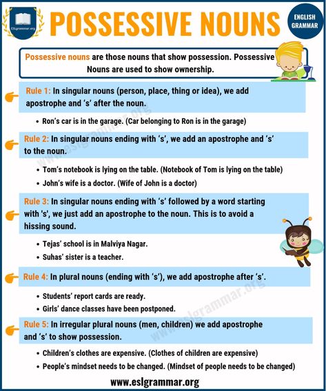 Possessive Nouns: Definition, Rules and Useful Examples - ESL Grammar Rules Of Noun, Noun Rules, Possessive Noun, Nouns In English, What Is A Noun, Plural Possessive Nouns, Capitalization Worksheets, Nouns Grammar, Types Of Nouns