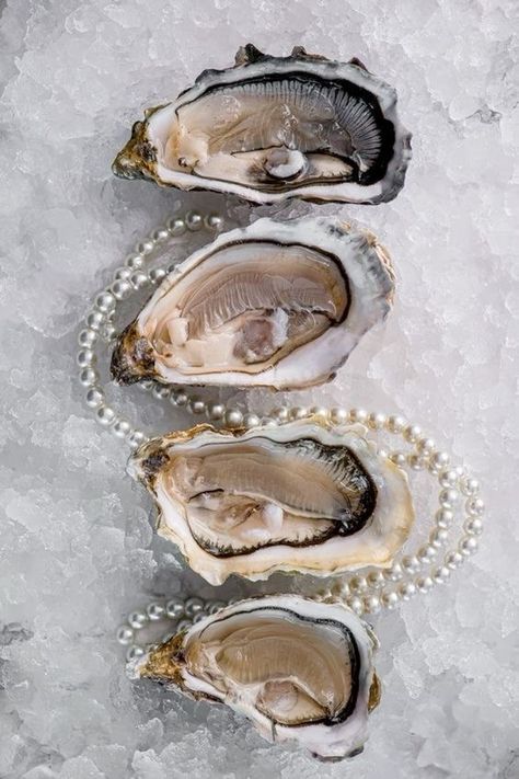 Oyster Photoshoot, Clam Photography, Mermaid Dinner, Seashell Aesthetic, Pearl Core, Pearl Aesthetic, Pearls Photography, Food Art Photography, Oyster Pearl